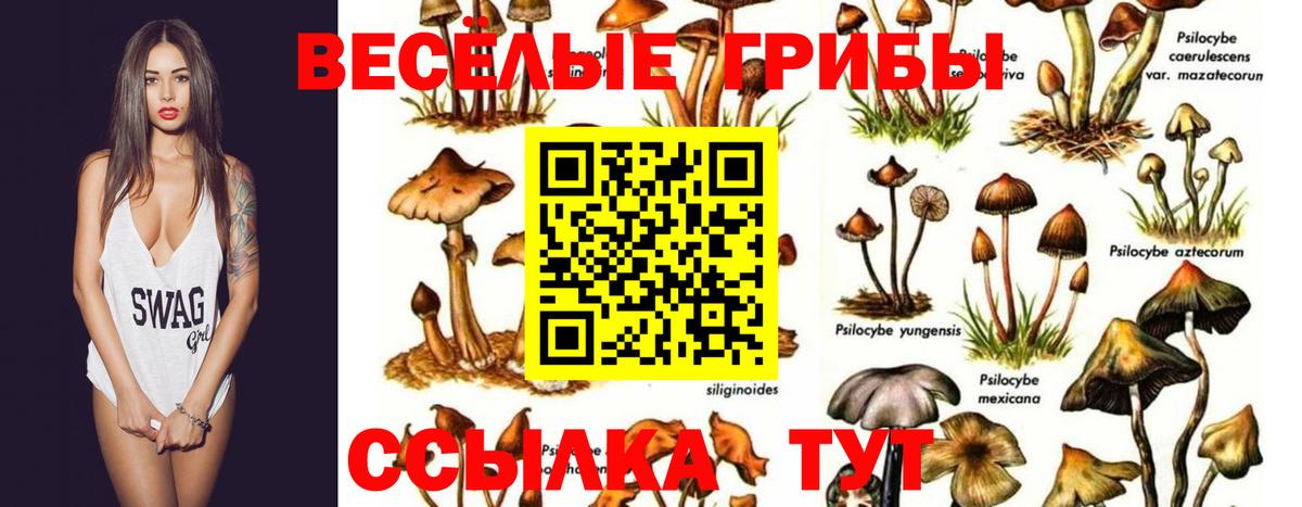 Псилоцибиновые грибы мухоморы Крымск