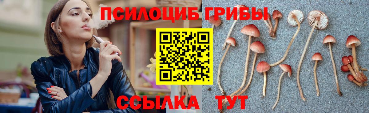 Крымск  Псилоцибиновые грибы MAGIC MUSHROOMS  Вход с VPN 